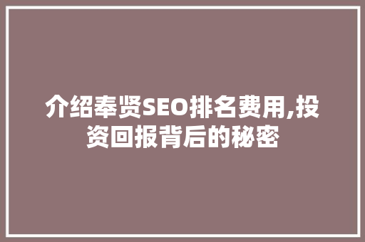 介绍奉贤SEO排名费用,投资回报背后的秘密