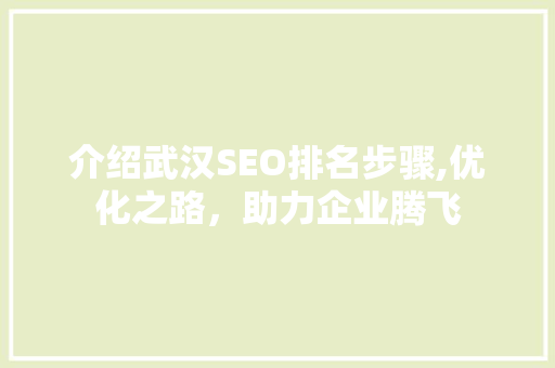 介绍武汉SEO排名步骤,优化之路，助力企业腾飞