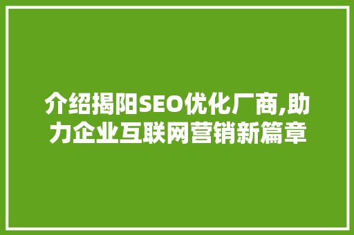介绍揭阳SEO优化厂商,助力企业互联网营销新篇章