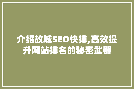 介绍故城SEO快排,高效提升网站排名的秘密武器