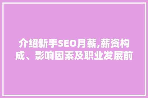 介绍新手SEO月薪,薪资构成、影响因素及职业发展前景