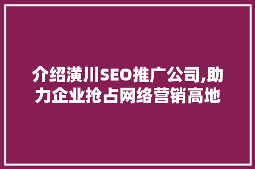 介绍潢川SEO推广公司,助力企业抢占网络营销高地
