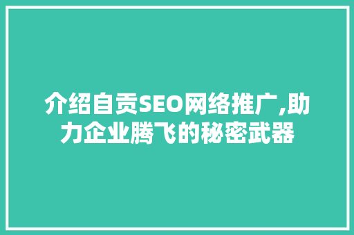 介绍自贡SEO网络推广,助力企业腾飞的秘密武器