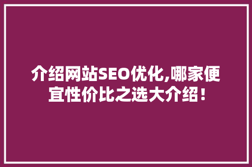 介绍网站SEO优化,哪家便宜性价比之选大介绍！