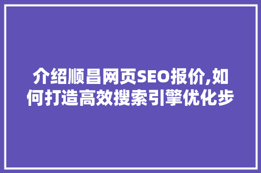 介绍顺昌网页SEO报价,如何打造高效搜索引擎优化步骤