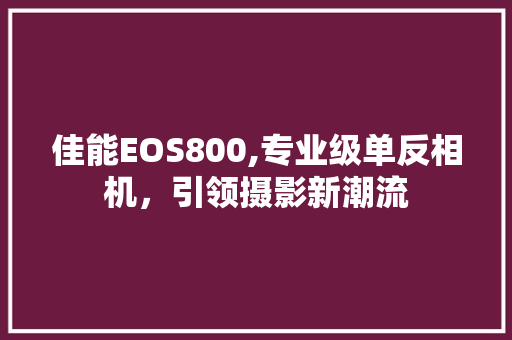 佳能EOS800,专业级单反相机，引领摄影新潮流
