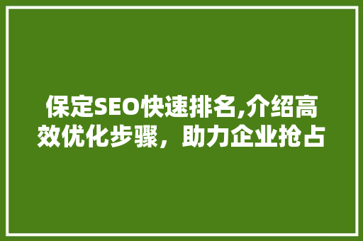 保定SEO快速排名,介绍高效优化步骤，助力企业抢占市场先机