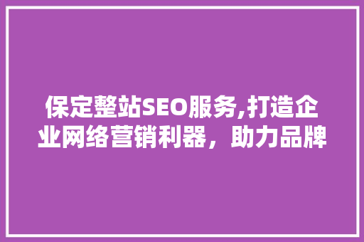 保定整站SEO服务,打造企业网络营销利器，助力品牌腾飞