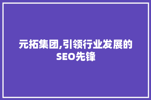 元拓集团,引领行业发展的SEO先锋