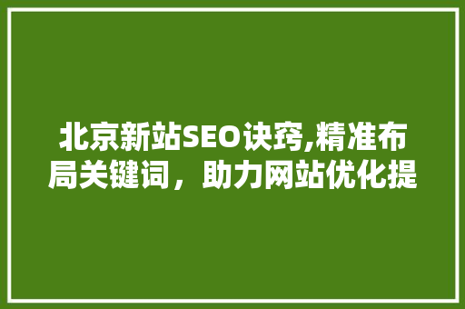 北京新站SEO诀窍,精准布局关键词，助力网站优化提升