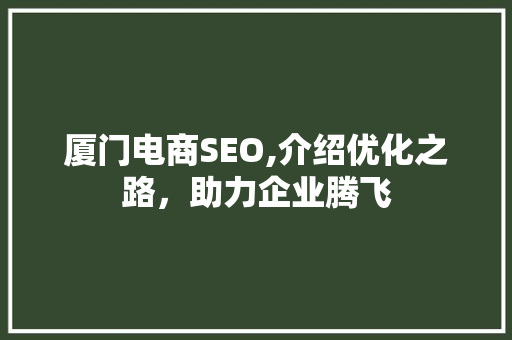 厦门电商SEO,介绍优化之路，助力企业腾飞