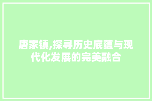 唐家镇,探寻历史底蕴与现代化发展的完美融合