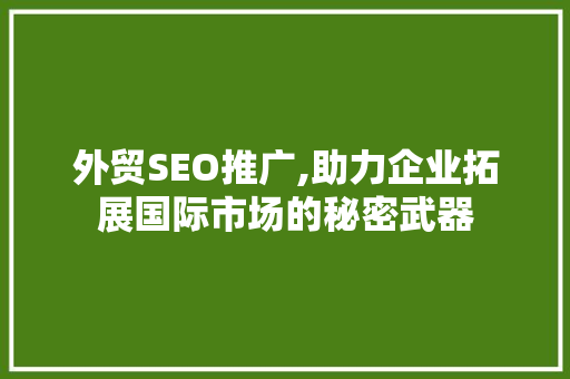 外贸SEO推广,助力企业拓展国际市场的秘密武器