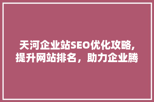 天河企业站SEO优化攻略,提升网站排名，助力企业腾飞