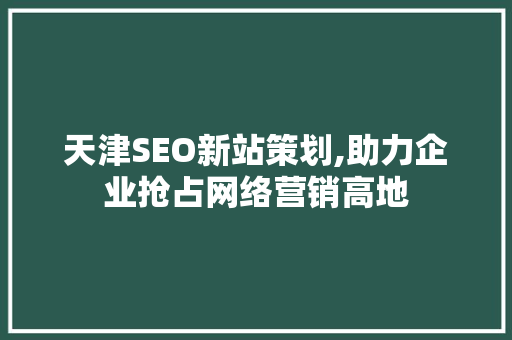 天津SEO新站策划,助力企业抢占网络营销高地