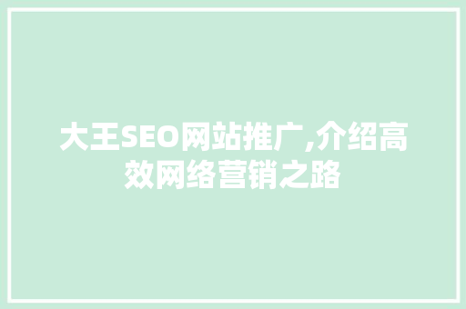 大王SEO网站推广,介绍高效网络营销之路