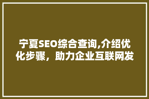 宁夏SEO综合查询,介绍优化步骤，助力企业互联网发展