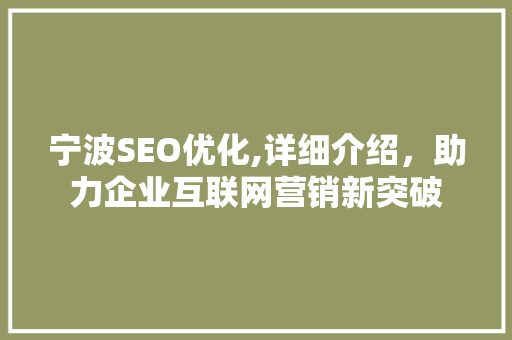 宁波SEO优化,详细介绍，助力企业互联网营销新突破