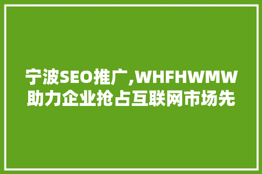 宁波SEO推广,WHFHWMW助力企业抢占互联网市场先机