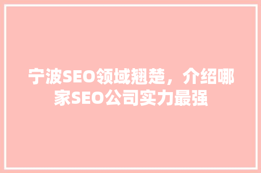 宁波SEO领域翘楚，介绍哪家SEO公司实力最强