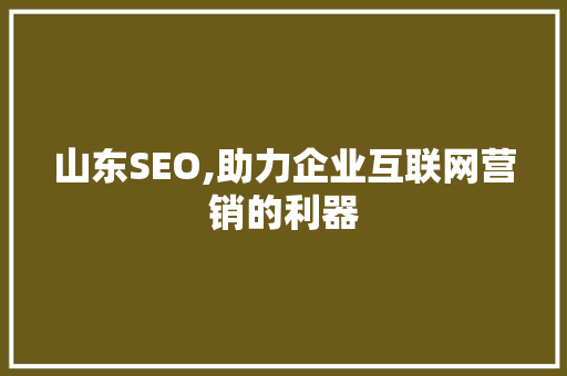 山东SEO,助力企业互联网营销的利器