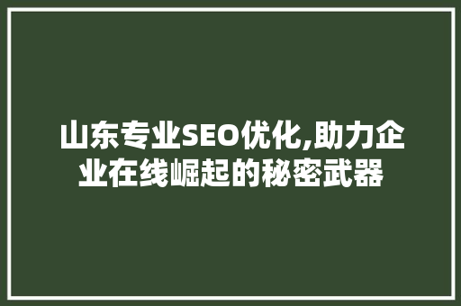 山东专业SEO优化,助力企业在线崛起的秘密武器