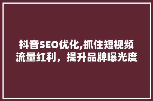 抖音SEO优化,抓住短视频流量红利，提升品牌曝光度