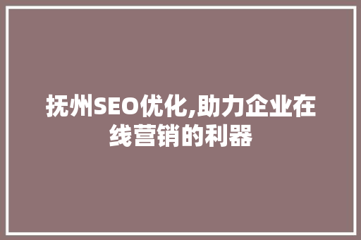 抚州SEO优化,助力企业在线营销的利器