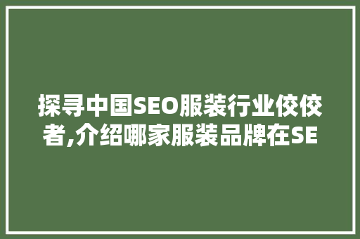 探寻中国SEO服装行业佼佼者,介绍哪家服装品牌在SEO领域独占鳌头