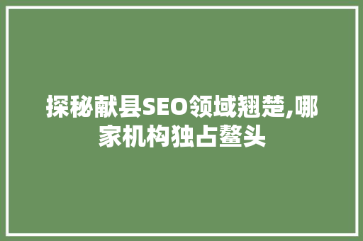 探秘献县SEO领域翘楚,哪家机构独占鳌头