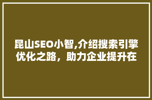 昆山SEO小智,介绍搜索引擎优化之路，助力企业提升在线竞争力