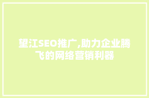 望江SEO推广,助力企业腾飞的网络营销利器