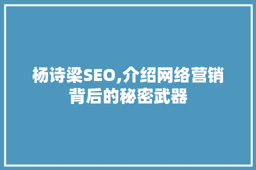 杨诗梁SEO,介绍网络营销背后的秘密武器