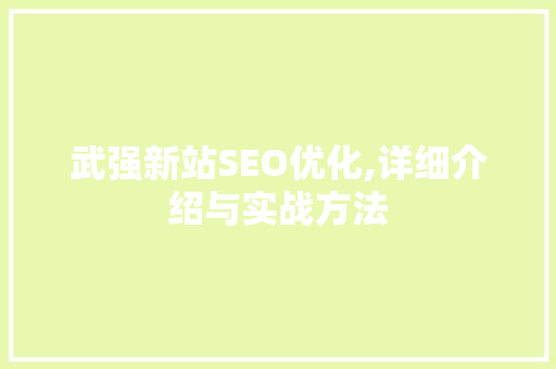 武强新站SEO优化,详细介绍与实战方法