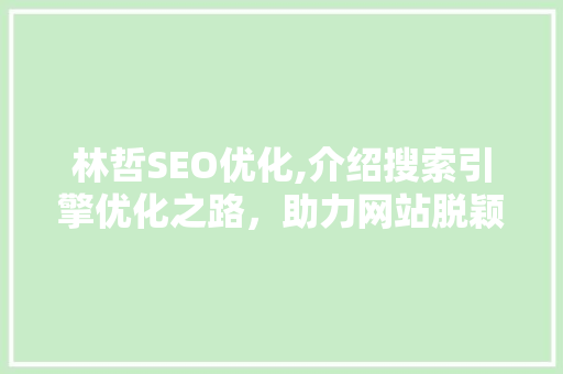 林哲SEO优化,介绍搜索引擎优化之路，助力网站脱颖而出