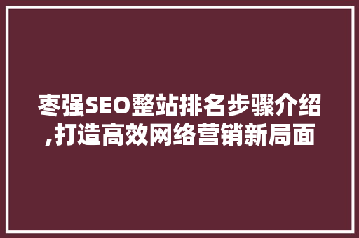 枣强SEO整站排名步骤介绍,打造高效网络营销新局面