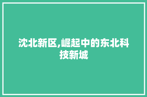 沈北新区,崛起中的东北科技新城