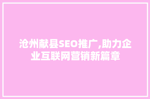 沧州献县SEO推广,助力企业互联网营销新篇章