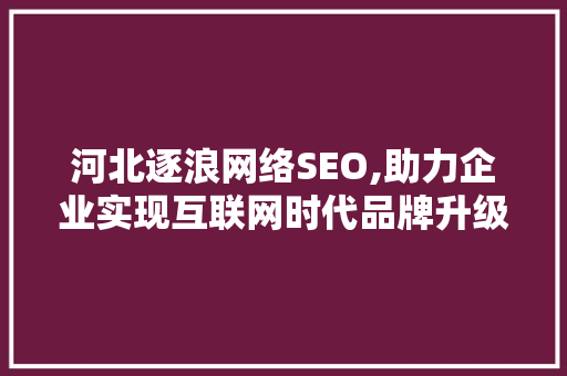 河北逐浪网络SEO,助力企业实现互联网时代品牌升级