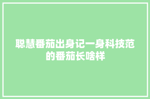 聪慧番茄出身记一身科技范的番茄长啥样