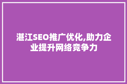 湛江SEO推广优化,助力企业提升网络竞争力