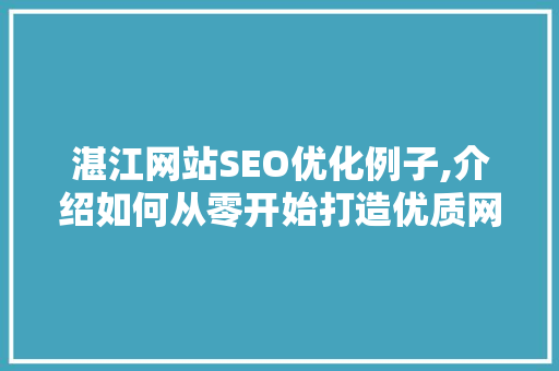 湛江网站SEO优化例子,介绍如何从零开始打造优质网站