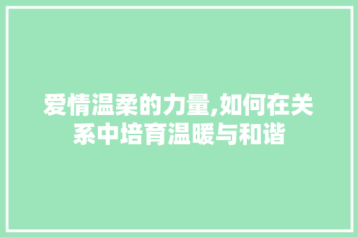 爱情温柔的力量,如何在关系中培育温暖与和谐