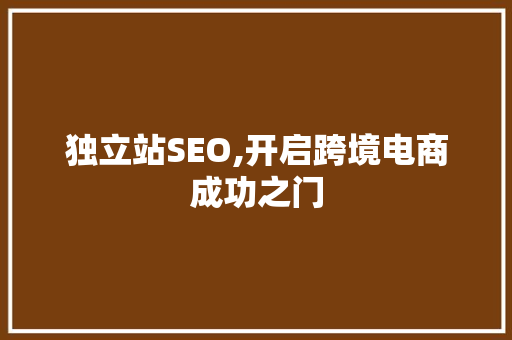 独立站SEO,开启跨境电商成功之门