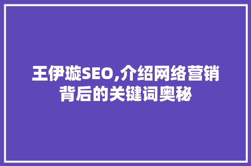 王伊璇SEO,介绍网络营销背后的关键词奥秘