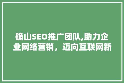 确山SEO推广团队,助力企业网络营销，迈向互联网新高度