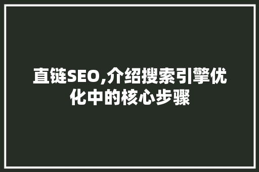 直链SEO,介绍搜索引擎优化中的核心步骤