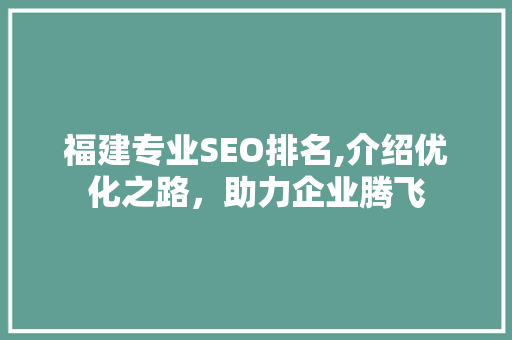 福建专业SEO排名,介绍优化之路，助力企业腾飞