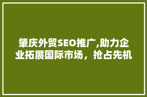 肇庆外贸SEO推广,助力企业拓展国际市场，抢占先机