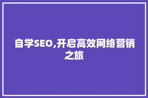 自学SEO,开启高效网络营销之旅
